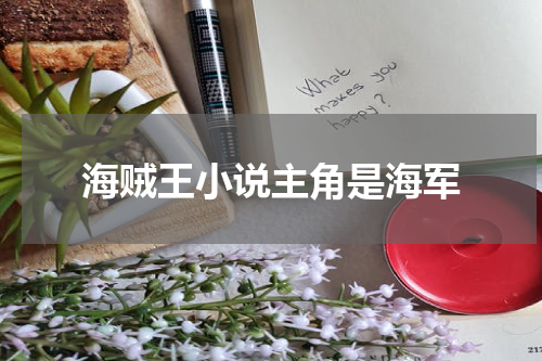 海贼王小说主角是海军