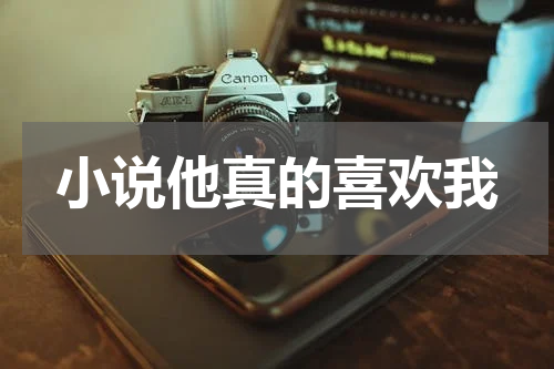 小说他真的喜欢我