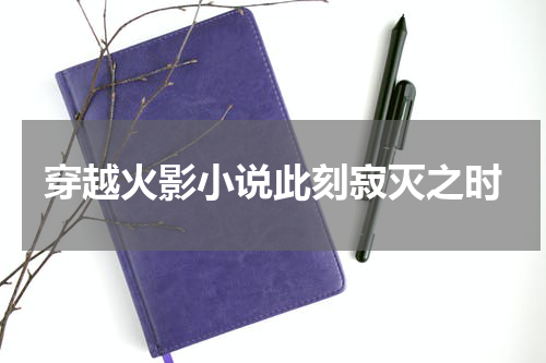 穿越火影小说此刻寂灭之时