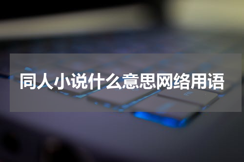 同人小说什么意思网络用语