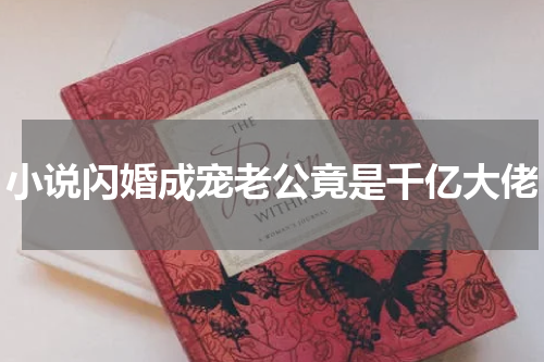 小说闪婚成宠老公竟是千亿大佬