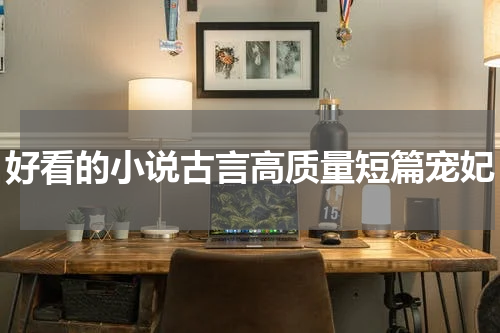 好看的小说古言高质量短篇宠妃