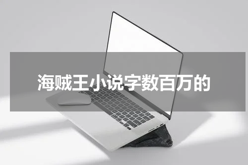 海贼王小说字数百万的