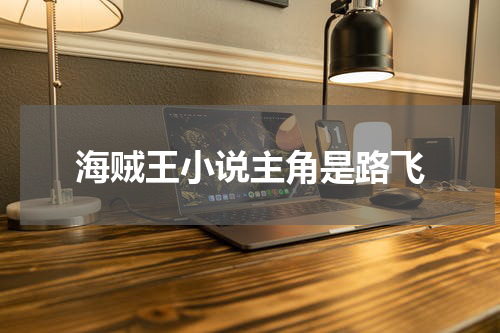 海贼王小说主角是路飞