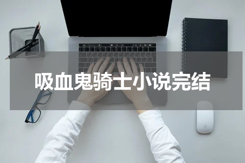 吸血鬼骑士小说完结