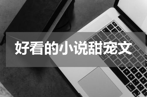 好看的小说甜宠文