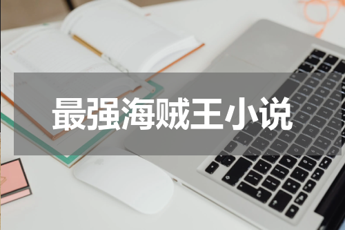 最强海贼王小说