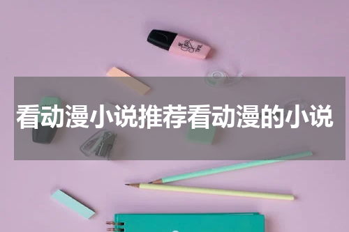看动漫小说推荐看动漫的小说