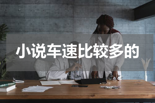 小说车速比较多的