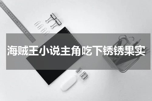 海贼王小说主角吃下锈锈果实