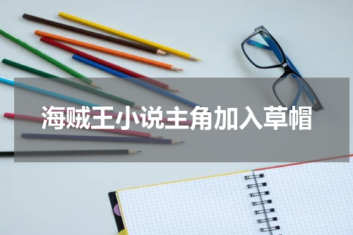 海贼王小说主角加入草帽