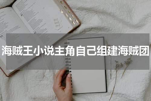 海贼王小说主角自己组建海贼团