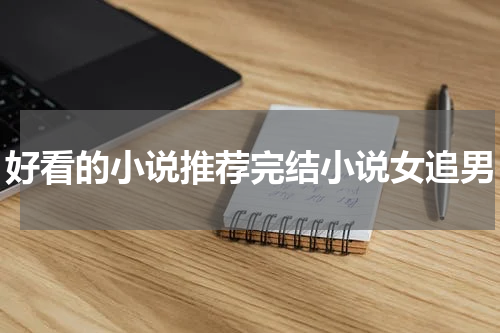 好看的小说推荐完结小说女追男