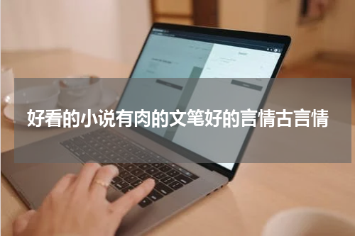 好看的小说有肉的文笔好的言情古言情