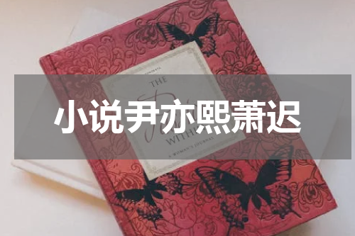 小说尹亦熙萧迟