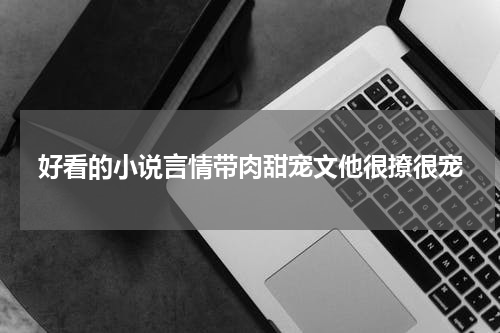 好看的小说言情带肉甜宠文他很撩很宠