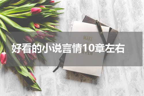 好看的小说言情10章左右