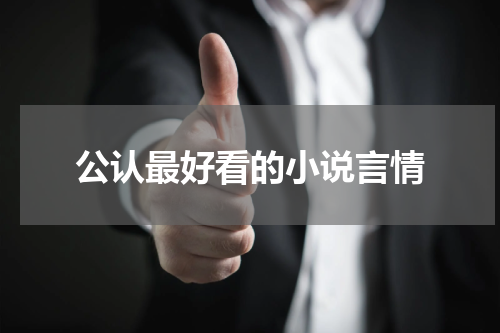 公认最好看的小说言情