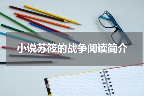 小说苏筱的战争阅读简介