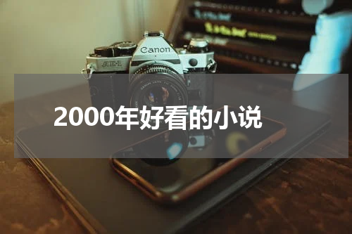 2000年好看的小说