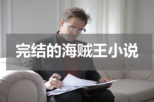 完结的海贼王小说