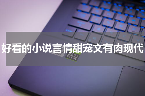 好看的小说言情甜宠文有肉现代