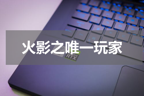 火影之唯一玩家