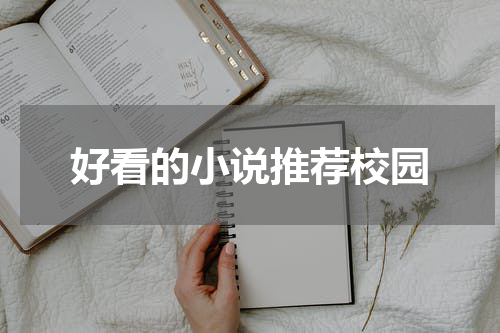 好看的小说推荐校园