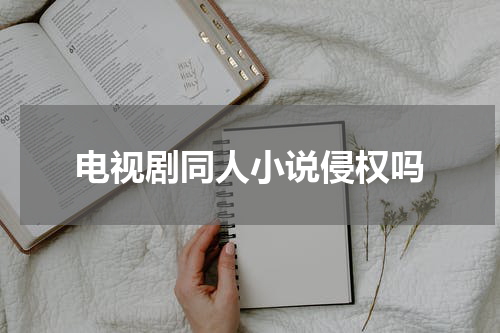 电视剧同人小说侵权吗