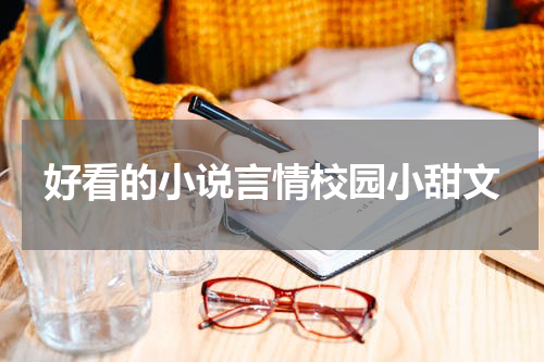 好看的小说言情校园小甜文