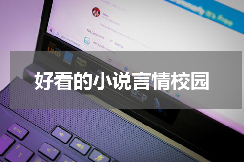 好看的小说言情校园