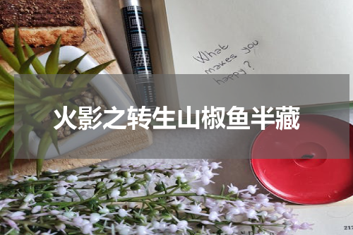 火影之转生山椒鱼半藏