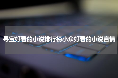 寻宝好看的小说排行榜小众好看的小说言情
