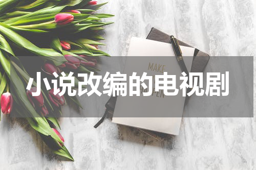 小说改编的电视剧
