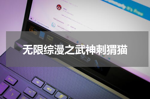 无限综漫之武神刺猬猫