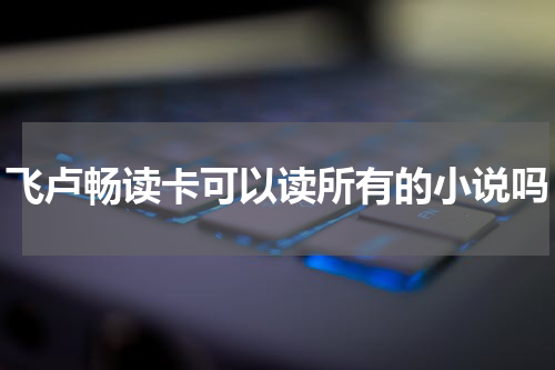 飞卢畅读卡可以读所有的小说吗