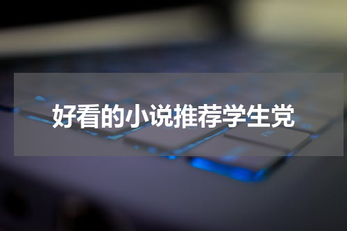 好看的小说推荐学生党