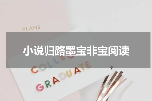 小说归路墨宝非宝阅读