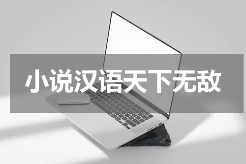 小说汉语天下无敌