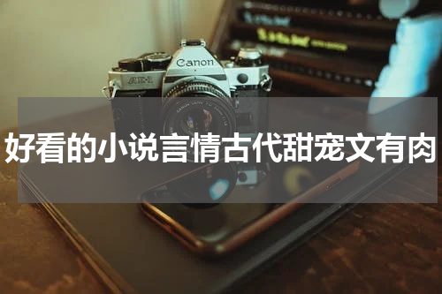 好看的小说言情古代甜宠文有肉
