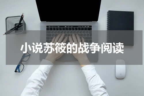 小说苏筱的战争阅读