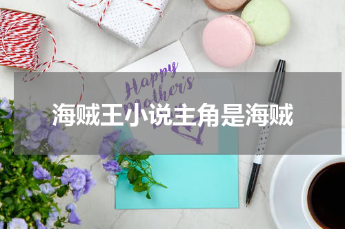 海贼王小说主角是海贼