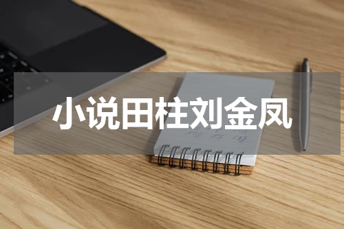 小说田柱刘金凤