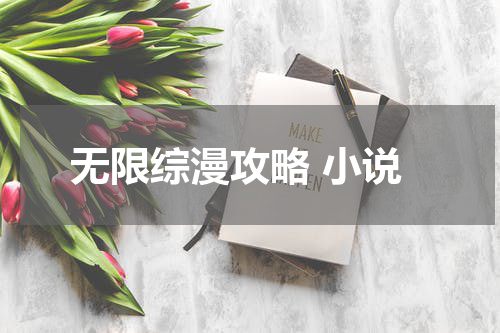 无限综漫攻略 小说