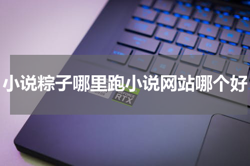 小说粽子哪里跑小说网站哪个好