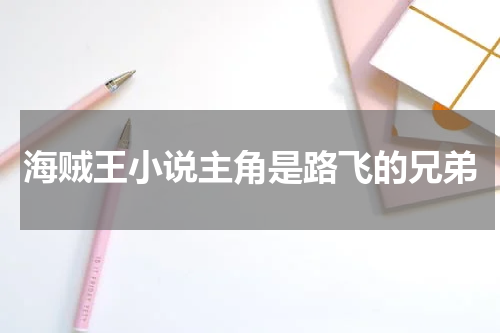 海贼王小说主角是路飞的兄弟