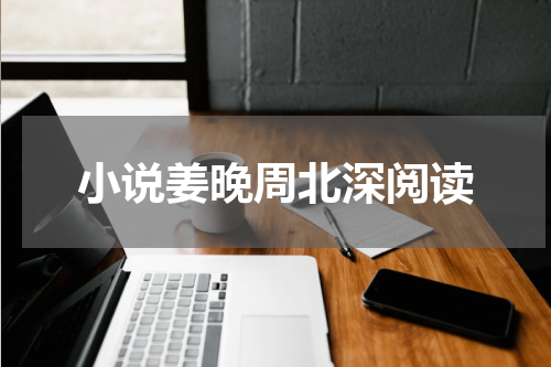 小说姜晚周北深阅读