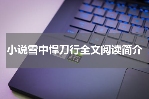 小说雪中悍刀行全文阅读简介