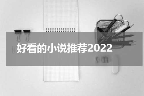好看的小说推荐2022