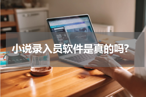 小说录入员软件是真的吗?